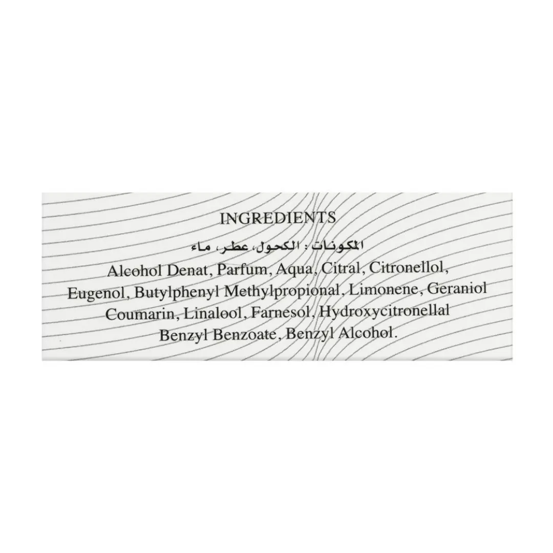 Baug Sons Creation EDP Perfume For Men 100ML - Image 2